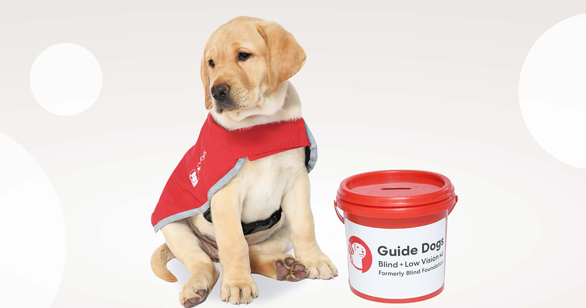 Guide Dog Puppy Appeal street collection - Blind Low Vision NZ
