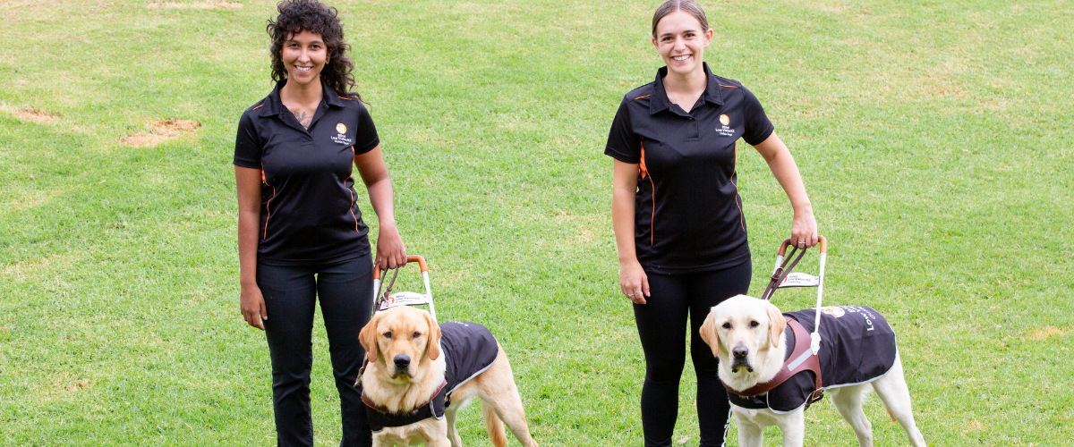 Guide dog handlers with their guide dogs